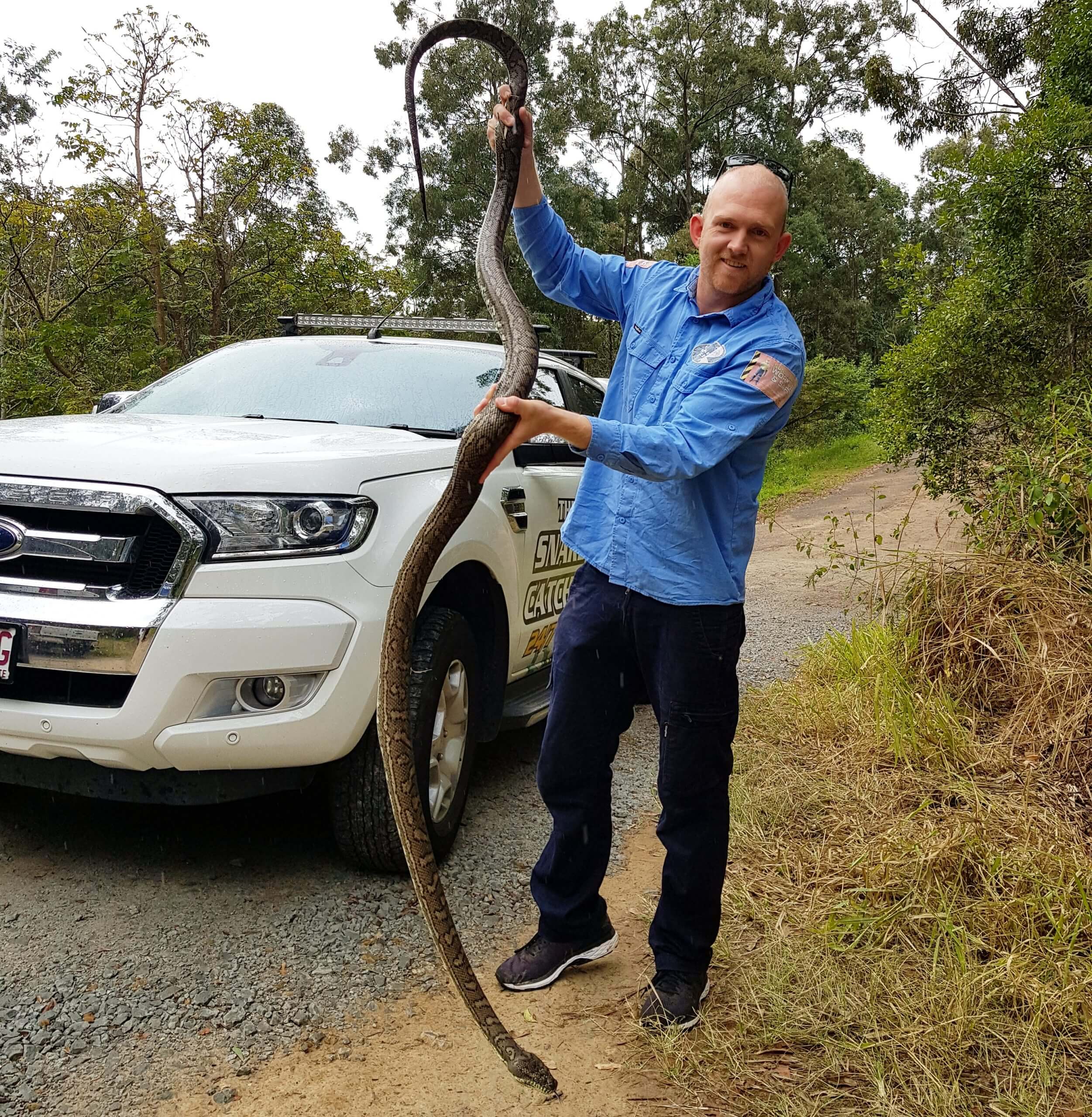 Stuart The Sunshine Coast Snake Catcher With A Python